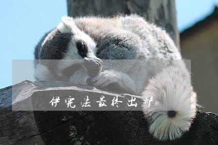 伊宪法最终出炉 伊宪法最终出炉