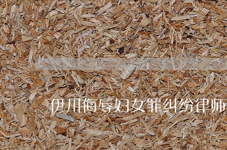 伊川侮辱妇女罪纠纷律师 伊川侮辱妇女罪纠纷律师