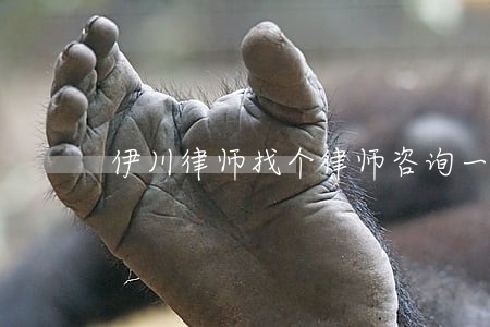 伊川律师找个律师咨询一下 伊川律师找个律师咨询一下