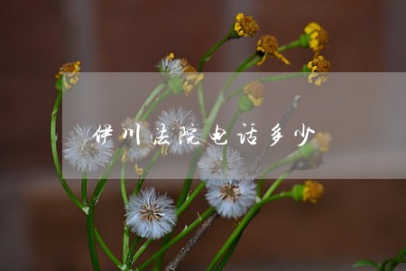 伊川法院电话多少 伊川法院电话多少