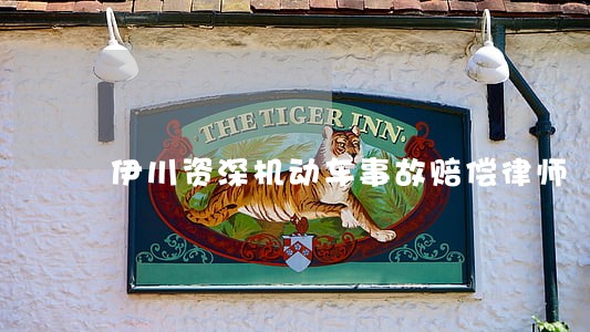 伊川资深机动车事故赔偿律师 伊川资深机动车事故赔偿律师