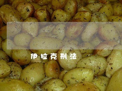 伊拉克刑法 伊拉克刑法