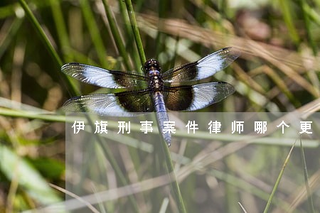 伊旗刑事案件律师哪个更好 伊旗刑事案件律师哪个更好