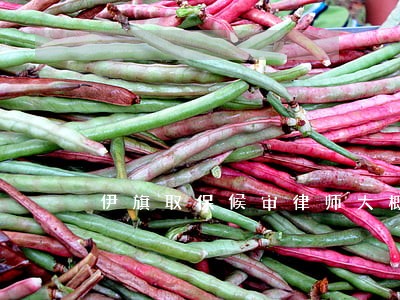 伊旗取保候审律师大概怎么收费 伊旗取保候审律师大概怎么收费