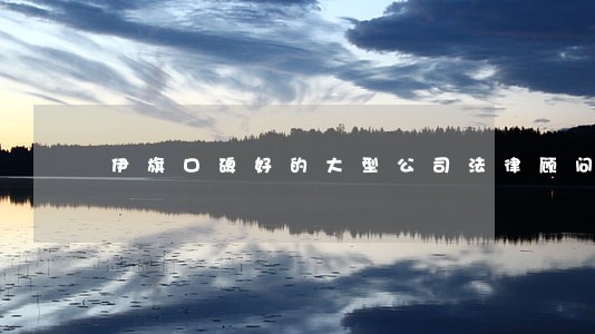 伊旗口碑好的大型公司法律顾问