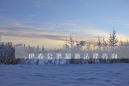 伊春公务最新法律咨询 伊春公务最新法律咨询
