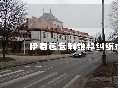 伊春区专利维权纠纷律师 伊春区专利维权纠纷律师