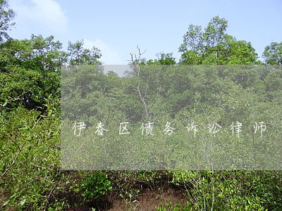 伊春区债务诉讼律师 伊春区债务诉讼律师