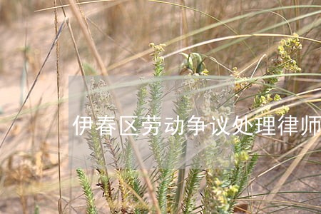 伊春区劳动争议处理律师 伊春区劳动争议处理律师