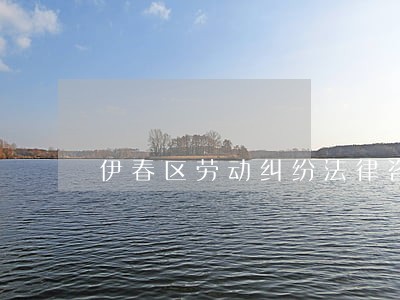 伊春区劳动纠纷法律咨询热线