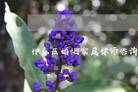 伊春区婚姻家庭律师咨询电话 伊春区婚姻家庭律师咨询电话