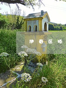 伊春区抵押担保律师在线免费咨询 伊春区抵押担保律师在线免费咨询