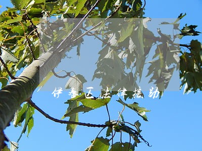 伊春区法律援助 伊春区法律援助