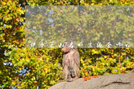 伊春区知名非法经营诉讼律师 伊春区知名非法经营诉讼律师