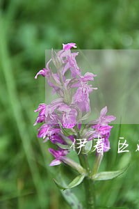 伊春区破产清算律师在线免费咨询 伊春区破产清算律师在线免费咨询
