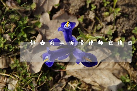 伊春商事诉讼律师在线咨询 伊春商事诉讼律师在线咨询