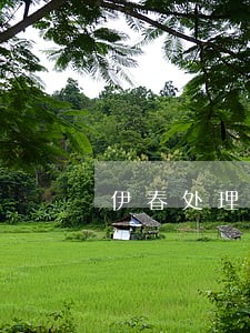 伊春处理公司债务法律问题律师 伊春处理公司债务法律问题律师