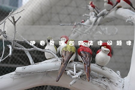 伊春处理合同法律问题律师 伊春处理合同法律问题律师