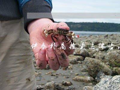 伊春外商投资法律咨询热线