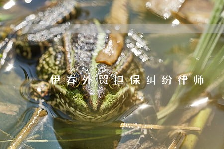 伊春外贸担保纠纷律师 伊春外贸担保纠纷律师