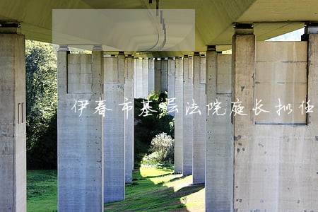 伊春市基层法院庭长拟任 伊春市基层法院庭长拟任