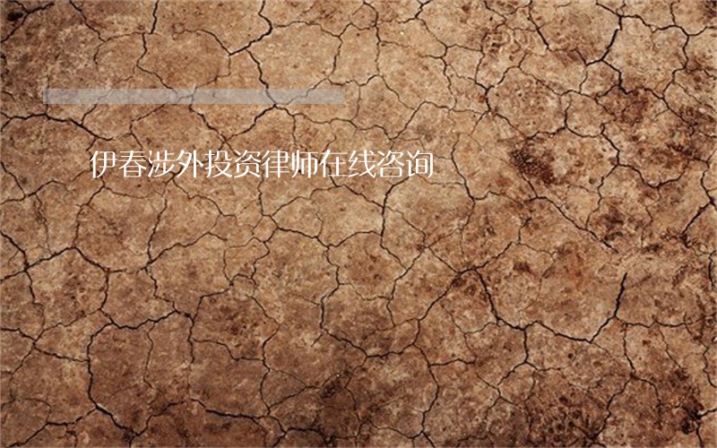 伊春涉外投资律师在线咨询
