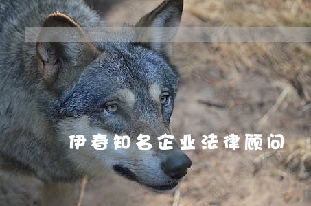 伊春知名企业法律顾问