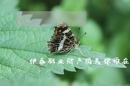 伊春职业财产损失律师在哪 伊春职业财产损失律师在哪