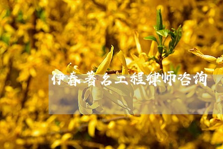 伊春著名工程律师咨询 伊春著名工程律师咨询
