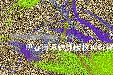 伊春资深软件版权纠纷律师