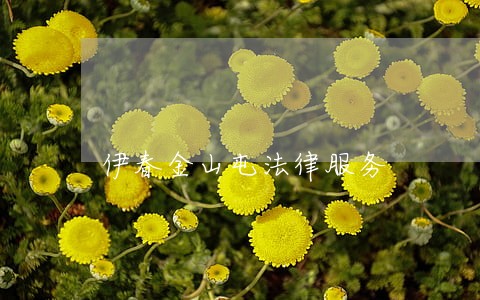 伊春金山屯法律服务 伊春金山屯法律服务