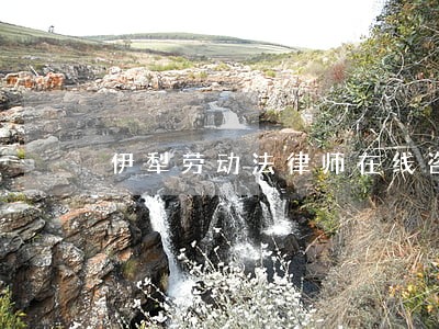 伊犁劳动法律师在线咨询 伊犁劳动法律师在线咨询