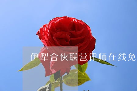 伊犁合伙联营律师在线免费咨询