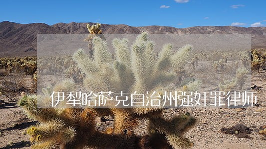伊犁哈萨克自治州强奸罪律师 伊犁哈萨克自治州强奸罪律师