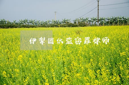 伊犁团伙盗窃罪律师 伊犁团伙盗窃罪律师