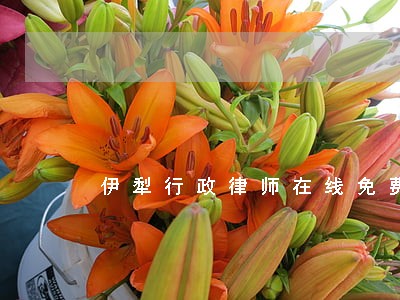 伊犁行政律师在线免费咨询 伊犁行政律师在线免费咨询