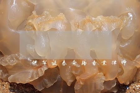 伊犁证券索赔专业律师 伊犁证券索赔专业律师