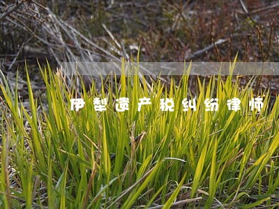 伊犁遗产税纠纷律师 伊犁遗产税纠纷律师