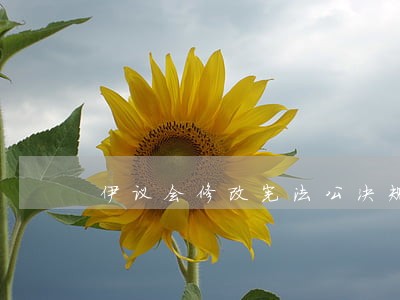 伊议会修改宪法公决规则 伊议会修改宪法公决规则