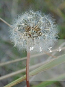 伊金霍洛取保候审律师委托流程 伊金霍洛取保候审律师委托流程