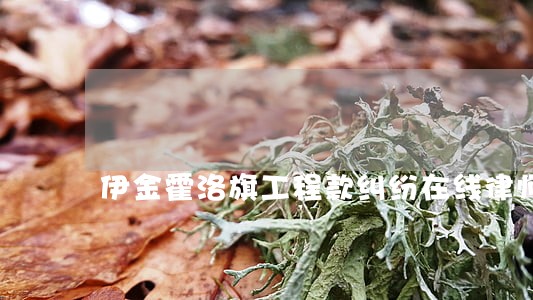 伊金霍洛旗工程款纠纷在线律师