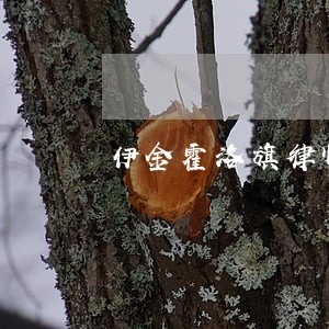 伊金霍洛旗律师石 伊金霍洛旗律师石