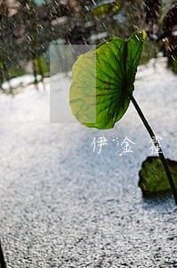 伊金霍洛旗擅长办取保候审律师 伊金霍洛旗擅长办取保候审律师