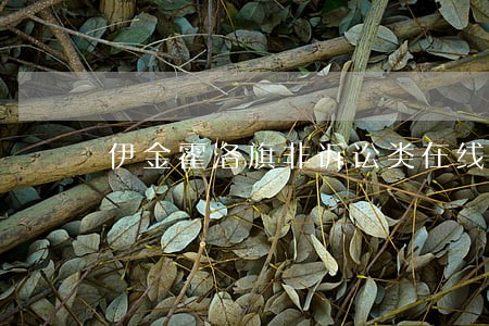 伊金霍洛旗非诉讼类在线律师 伊金霍洛旗非诉讼类在线律师
