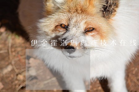伊金霍洛旗高新技术在线律师咨询 伊金霍洛旗高新技术在线律师咨询