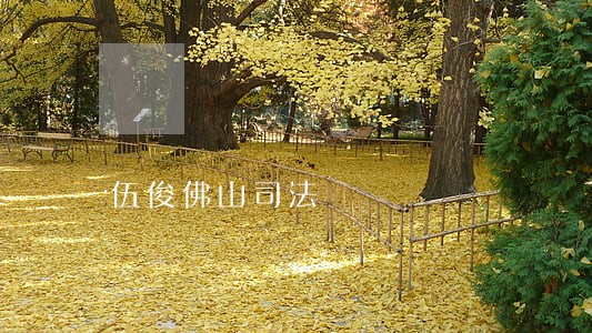 伍俊佛山司法 伍俊佛山司法