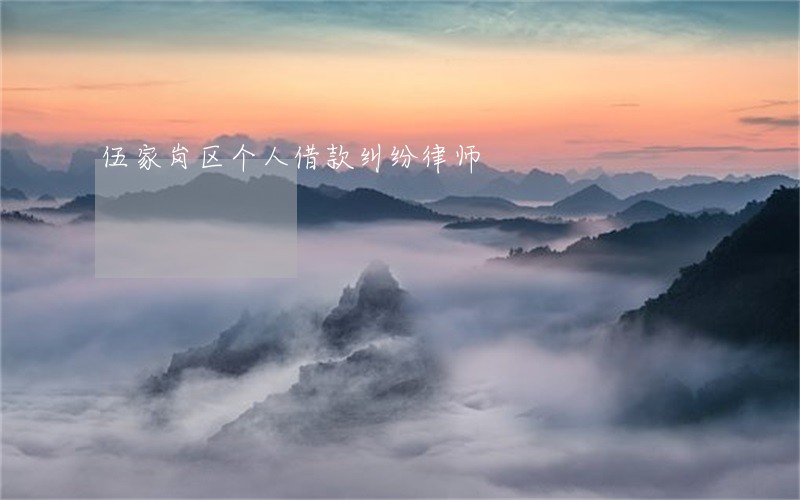 伍家岗区个人借款纠纷律师 伍家岗区个人借款纠纷律师