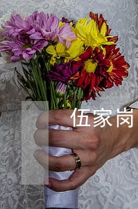 伍家岗区兼并收购律师咨询电话 伍家岗区兼并收购律师咨询电话