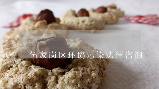 伍家岗区环境污染法律咨询 伍家岗区环境污染法律咨询