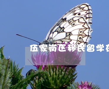 伍家岗区移民留学在线律师咨询 伍家岗区移民留学在线律师咨询